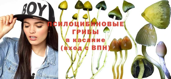 mdpv Алексеевка