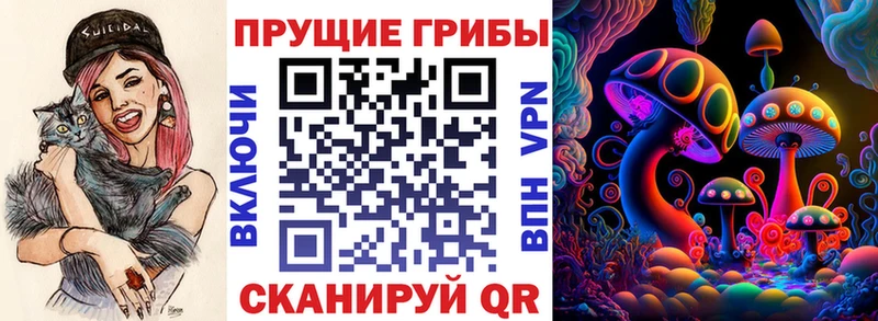 магазин    Данилов  Псилоцибиновые грибы ЛСД 
